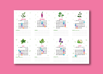projet calendrier des plantations