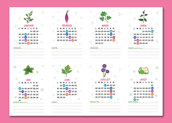 Calendrier des plantations de face